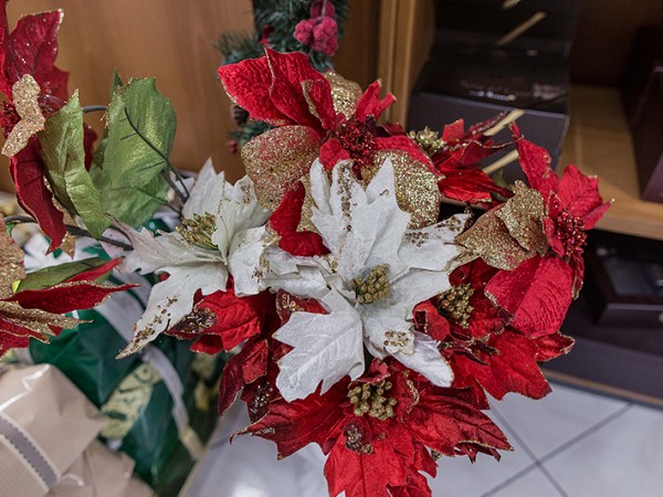 Natale 2014