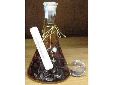 Bepi Tosolini Samantha brandy bepi tosolini