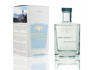 Godet antarctica folle blanche