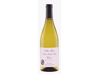 Feuduccio Pecorino colline teatine il feuduccio 2021