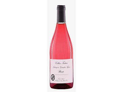 Feuduccio Rosato coliine teatine il feuduccio 2021