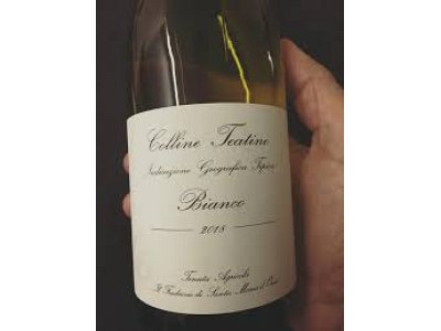 Feuduccio Bianco colline teatine il feuduccio 2021