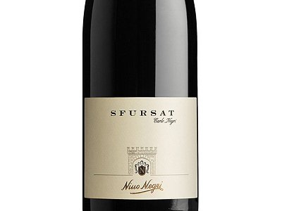 Carlo Negri Sfursat valtellina carlo negri 2019