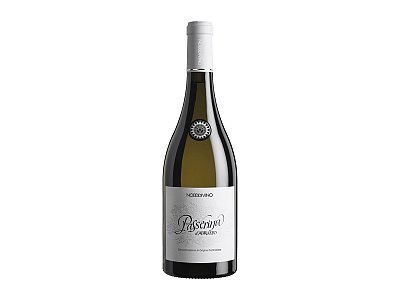 Passerina d\'abruzzo 2022 nododivino