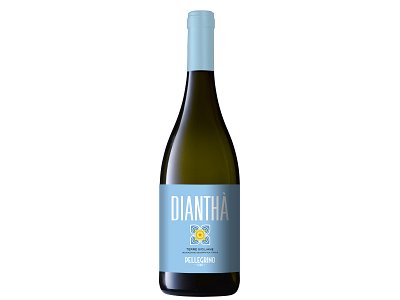 Pellegrino Carlo Dianthà pellegrino 2023