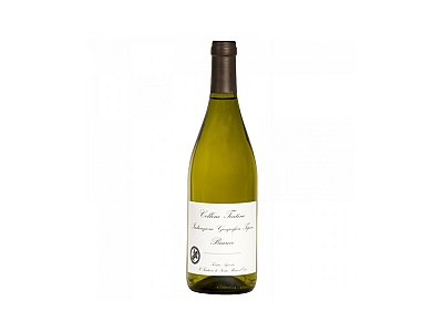 Feuduccio Bianco terre d'abruzzo il feuduccio 2024