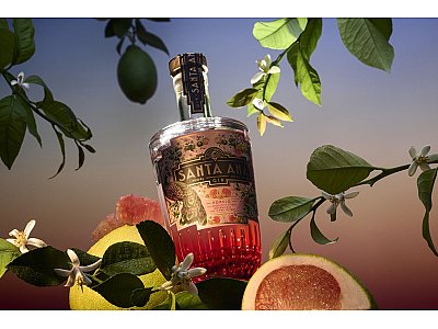 Santa Ana Gin Gin santa ana pomelo