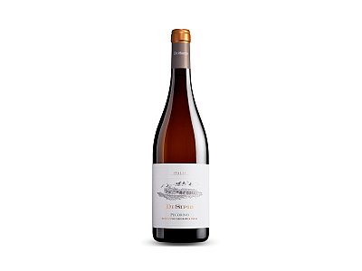 Pecorino di sipio 2024