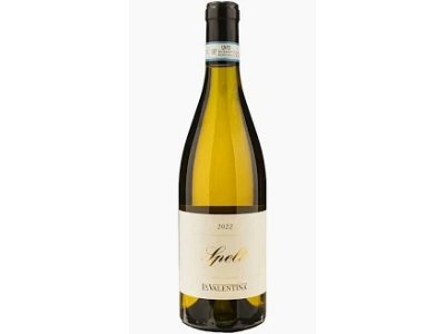 Spelt trebbiano 2022