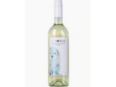 Asio Otus Asio otus vino bianco dealcolizzato