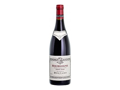 Bourgogne pinot noir regnard 2024