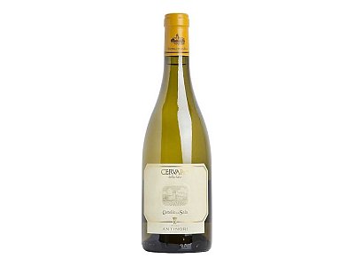 Antinori Cervaro della sala 2024 antinori